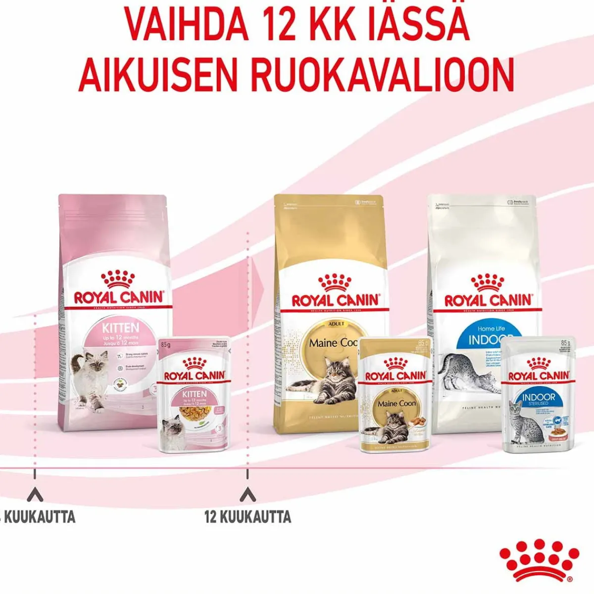 Kitten Jelly, 12x85g>Royal Canin Best