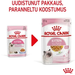 Kitten Jelly, 12x85g>Royal Canin Best