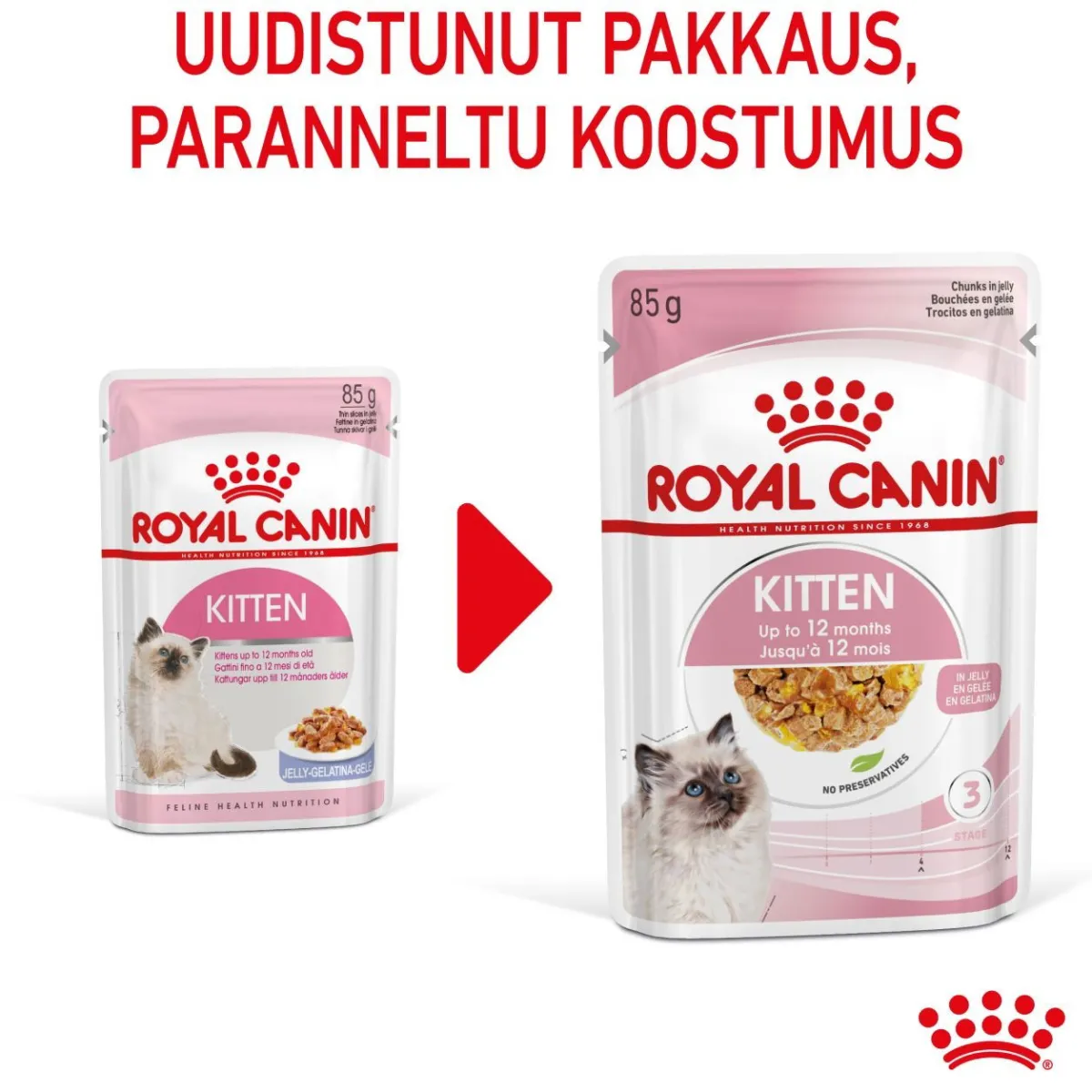Kitten Jelly, 12x85g>Royal Canin Best