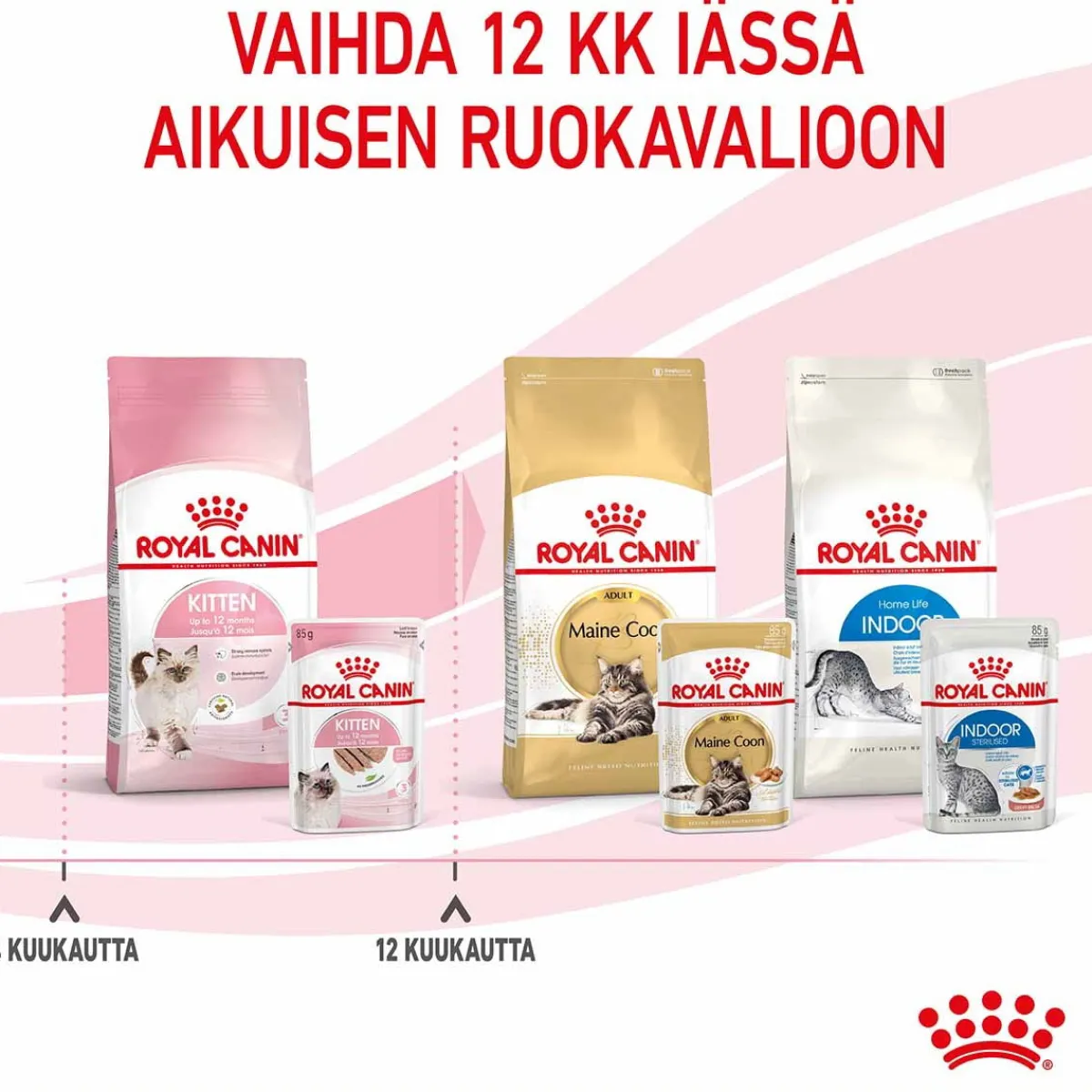 Kitten Loaf 85g, 48-pack>Royal Canin Sale