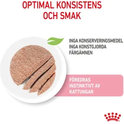 Kitten Loaf 85g, 48-pack>Royal Canin Sale