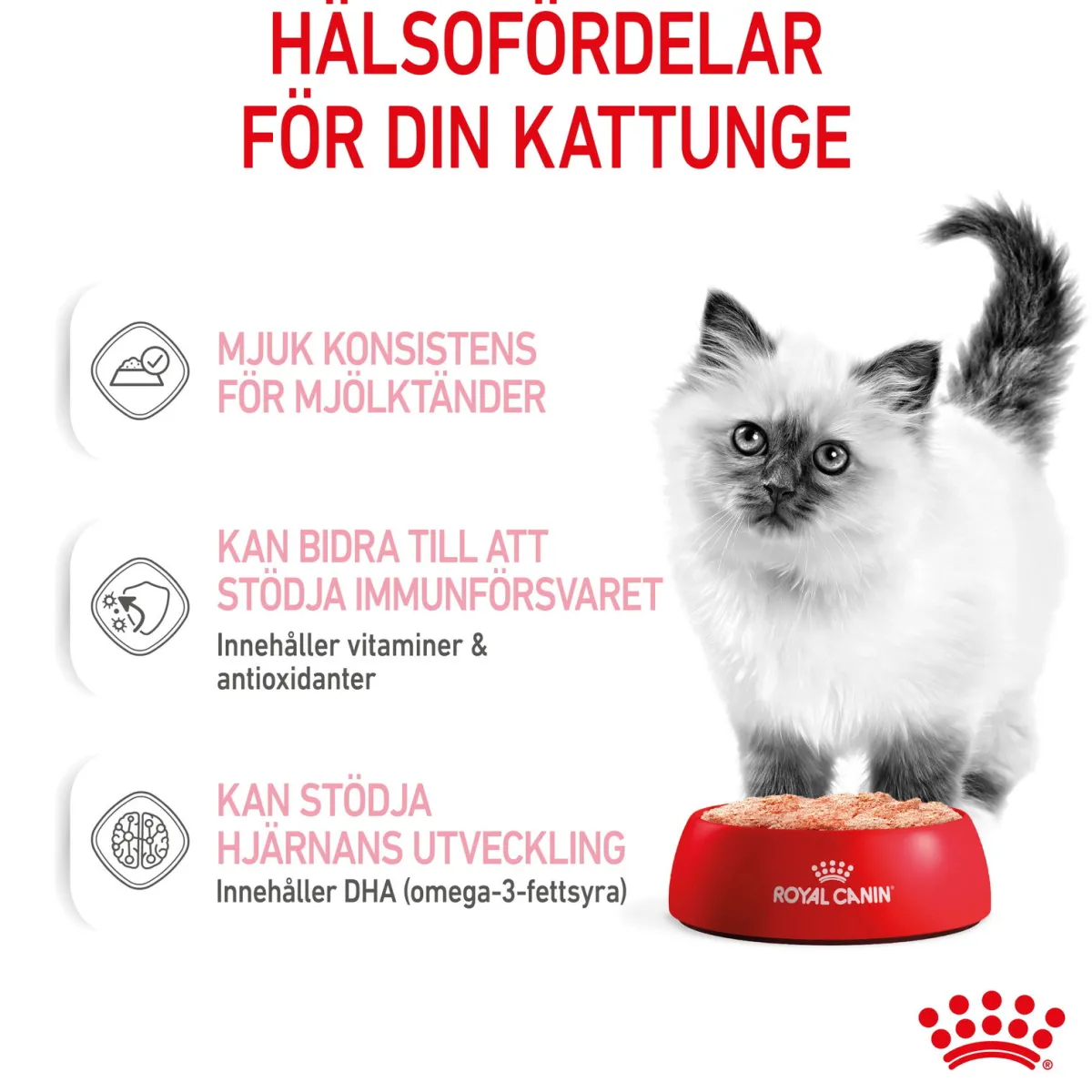 Kitten Loaf 85g, 48-pack>Royal Canin Sale