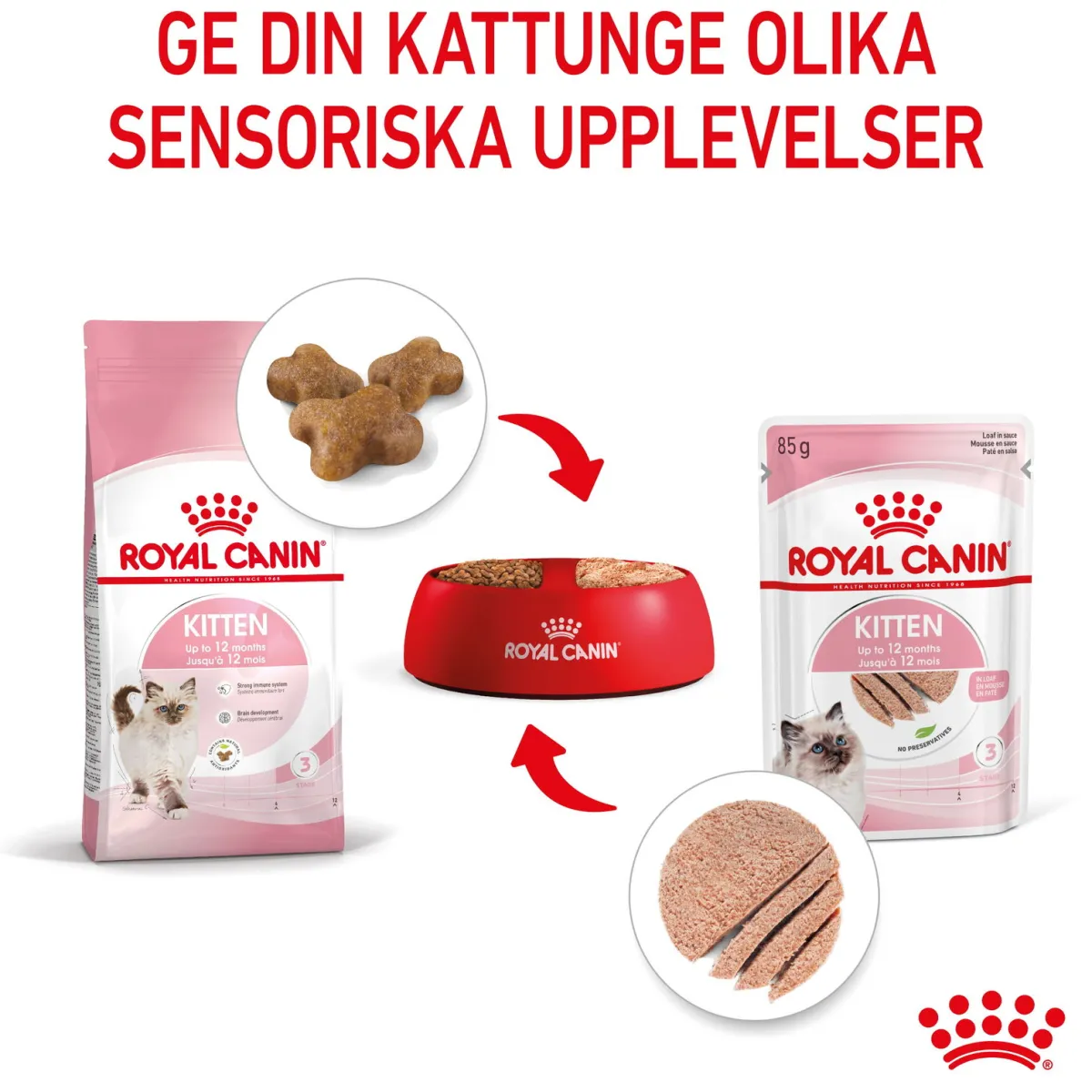 Kitten Loaf 85g, 48-pack>Royal Canin Sale