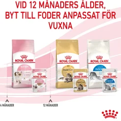 Kitten Loaf 85g, 48-pack>Royal Canin Sale