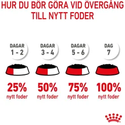 Kitten Loaf 85g, 48-pack>Royal Canin Sale