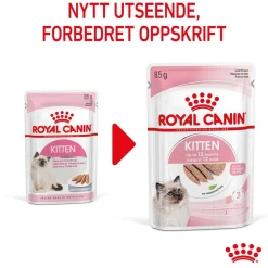 Kitten Loaf 85g, 48-pack>Royal Canin Sale