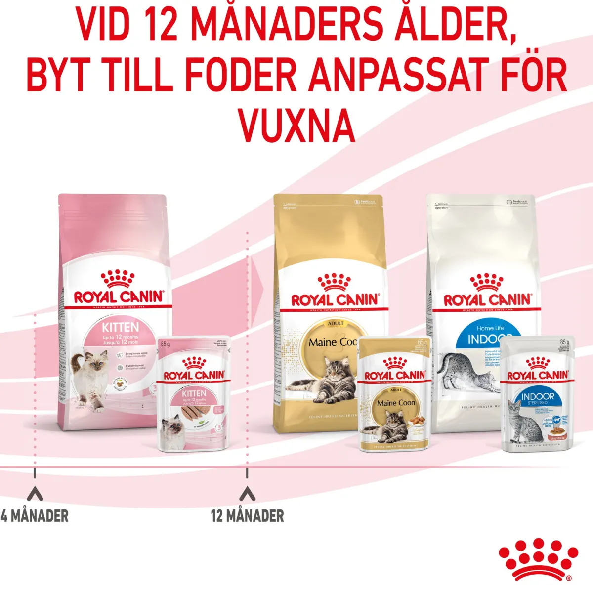 Kitten Loaf 85g, 48-pack>Royal Canin Sale
