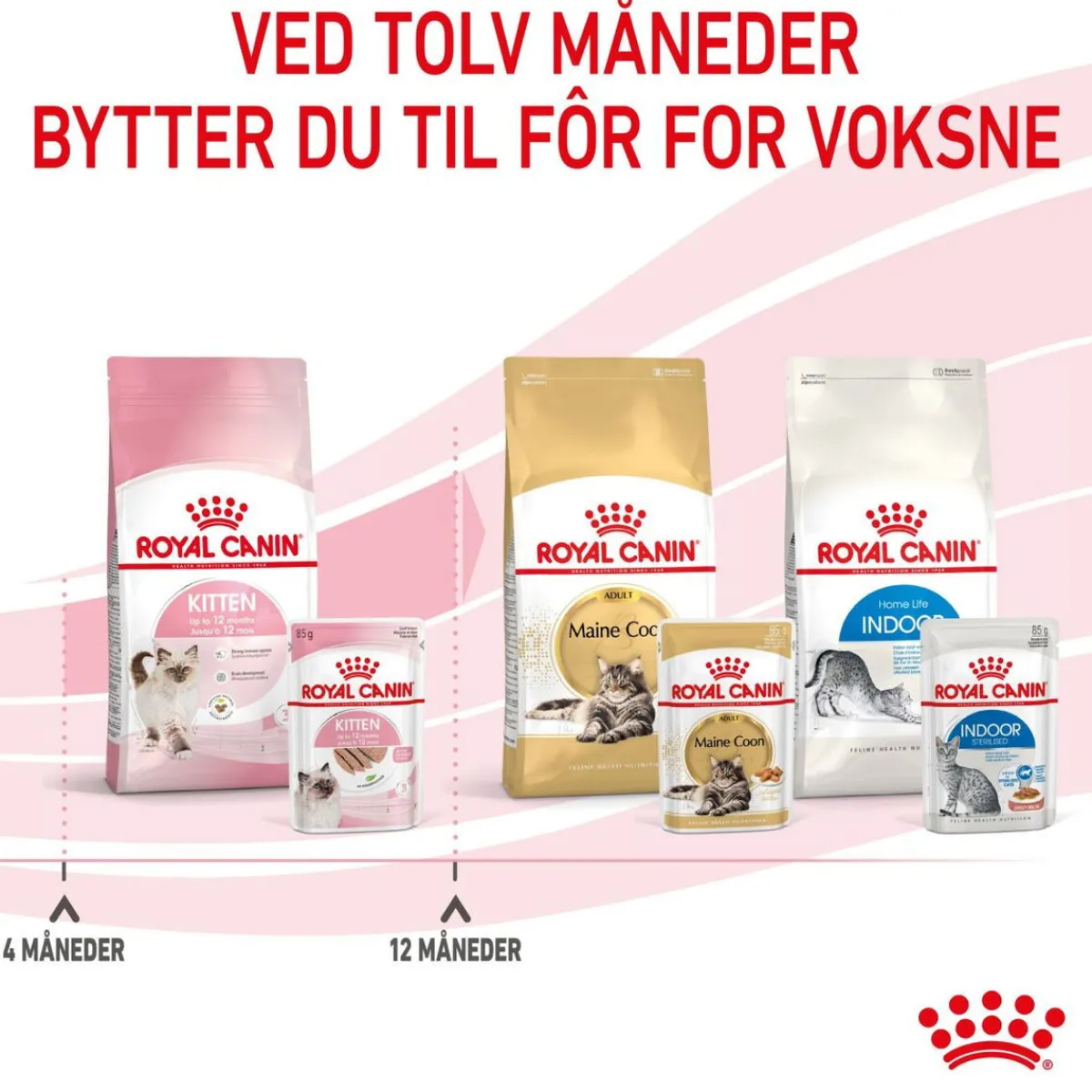 Kitten Loaf 85g, 48-pack>Royal Canin Sale