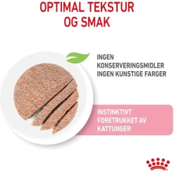 Kitten Loaf 85g, 48-pack>Royal Canin Sale