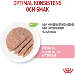 Kitten Loaf 85g, 48-pack>Royal Canin Sale
