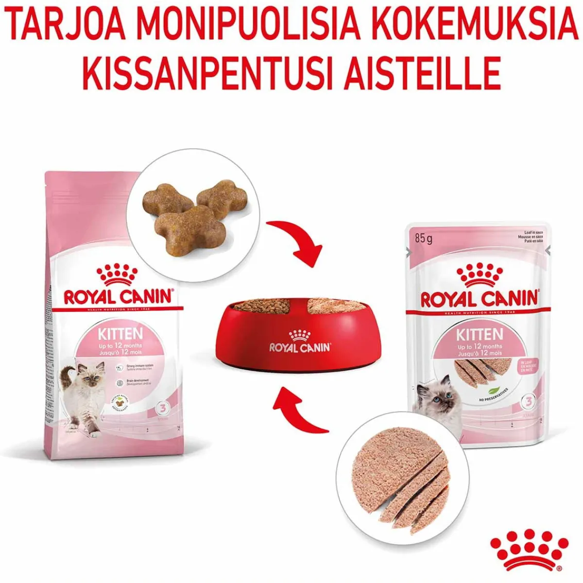 Kitten Loaf 85g, 48-pack>Royal Canin Sale
