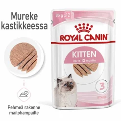 Kitten Loaf, 12x85g>Royal Canin Online
