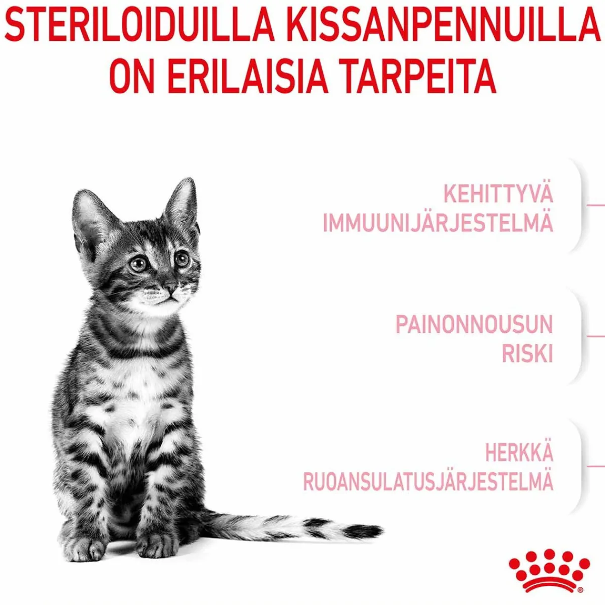 Kitten Sterilised>Royal Canin Clearance