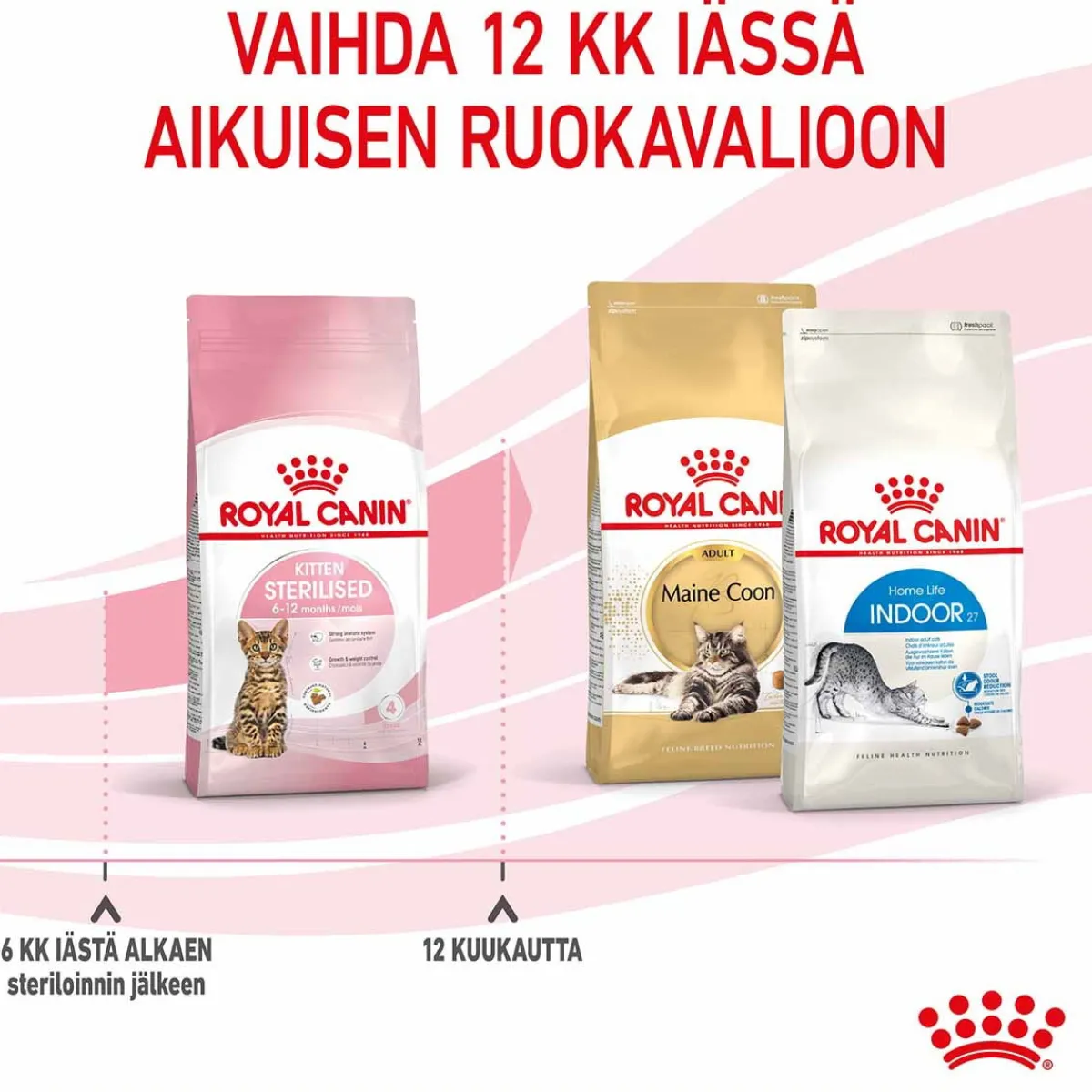 Kitten Sterilised>Royal Canin Clearance
