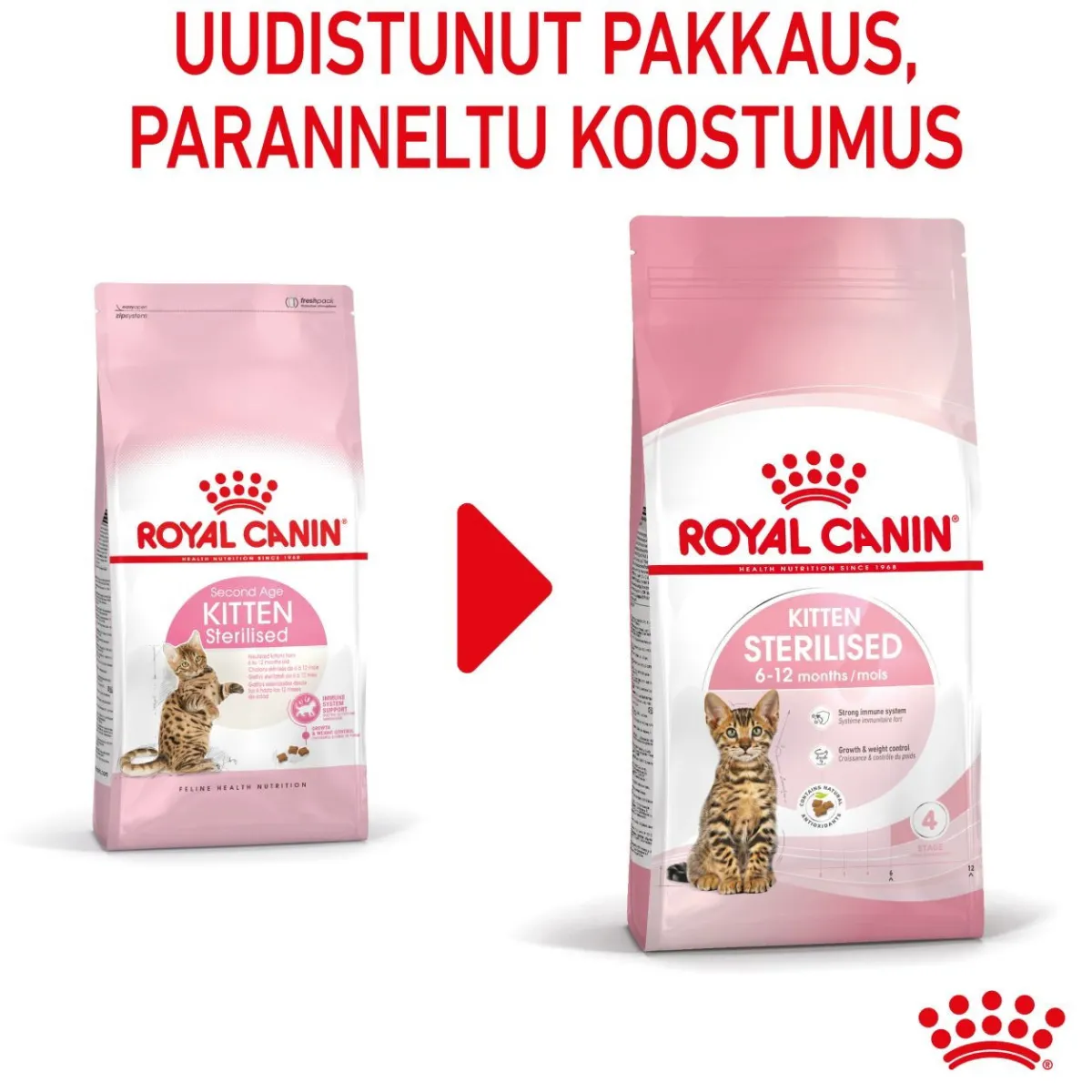 Kitten Sterilised>Royal Canin Clearance