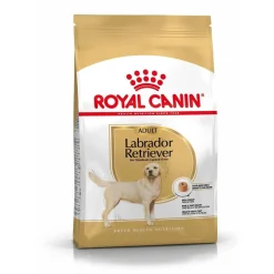 Labrador Retriever Adult 12 kg>Royal Canin Outlet