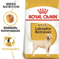 Labrador Retriever Adult 12 kg>Royal Canin Outlet