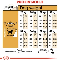 Labrador Retriever Adult 12 kg>Royal Canin Outlet