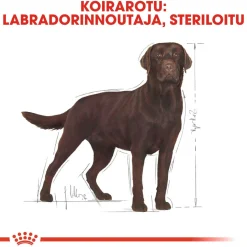 Labrador Retriever Sterilised 12 kg>Royal Canin