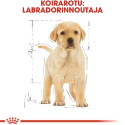Labrador Retriever Puppy 12 kg>Royal Canin Online