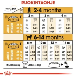 Labrador Retriever Puppy 12 kg>Royal Canin Online