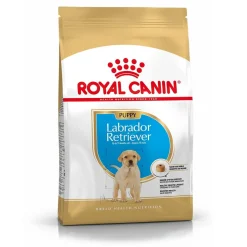 Labrador Retriever Puppy 12 kg>Royal Canin Online
