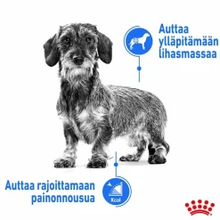 Light weight Care wet 12 x 85 g>Royal Canin Hot