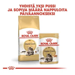 Maine Coon Adult>Royal Canin Clearance