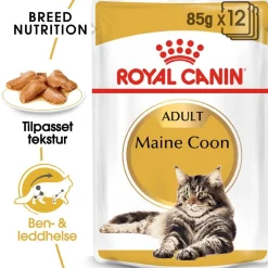 Maine Coon 85g, 48-pack>Royal Canin Best