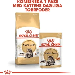 Maine Coon 85g, 48-pack>Royal Canin Best