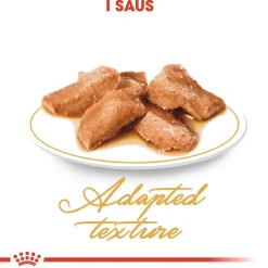 Maine Coon 85g, 48-pack>Royal Canin Best