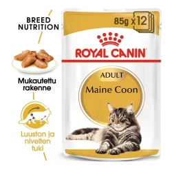 Maine Coon 85g, 48-pack>Royal Canin Best
