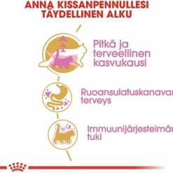 Maine Coon Kitten>Royal Canin Best