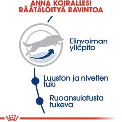 Maxi Adult 5+>Royal Canin Online
