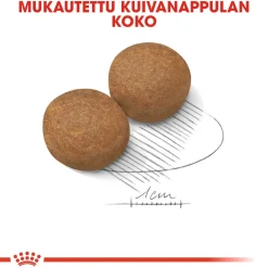 Maxi Adult>Royal Canin Sale