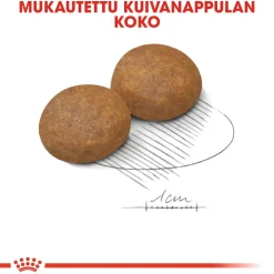 Maxi Adult 5+ 2 x 15kg>Royal Canin Online