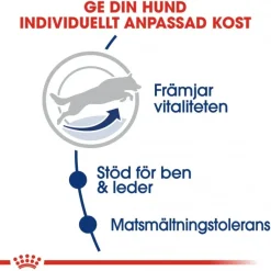 Maxi Adult 5+ 2 x 15kg>Royal Canin Online