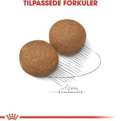 Maxi Adult 2 x 15 kg>Royal Canin Sale