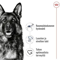 Maxi Adult 2 x 15 kg>Royal Canin Sale