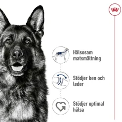 Maxi Adult 2 x 15 kg>Royal Canin Sale