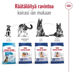Maxi Adult 2 x 15 kg>Royal Canin Sale