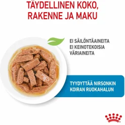 Maxi Puppy Wet 10x140g>Royal Canin