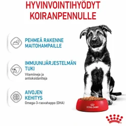 Maxi Puppy Wet 10x140g>Royal Canin