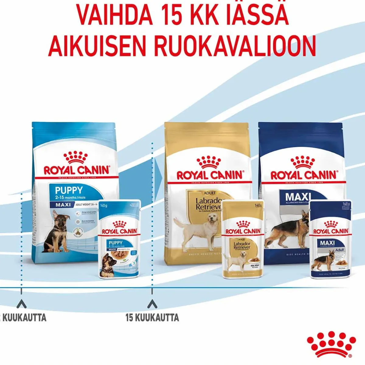 Maxi Puppy 40x140 g>Royal Canin Discount