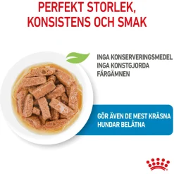 Maxi Puppy 40x140 g>Royal Canin Discount