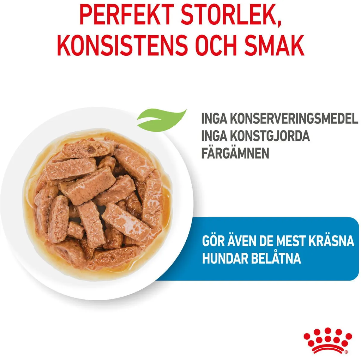 Maxi Puppy 40x140 g>Royal Canin Discount