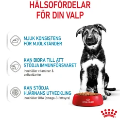 Maxi Puppy 40x140 g>Royal Canin Discount