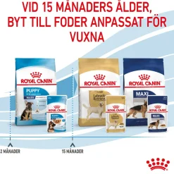 Maxi Puppy 40x140 g>Royal Canin Discount