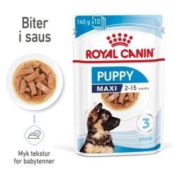 Maxi Puppy 40x140 g>Royal Canin Discount