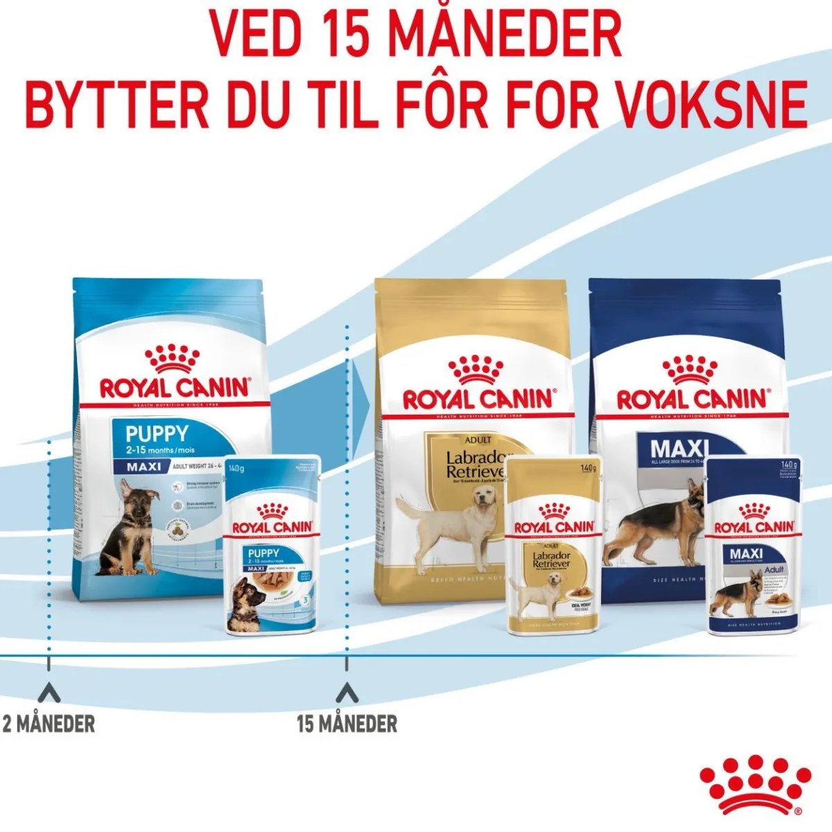 Maxi Puppy 40x140 g>Royal Canin Discount